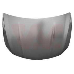 Motorhaube 2927660
