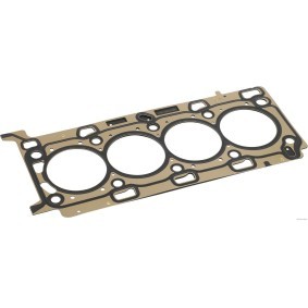 Zylinderkopfdichtung J1251166 für RENAULT