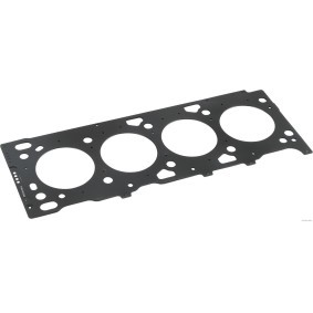 Zylinderkopfdichtung J1252191