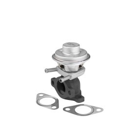 Acquista Valvola EGR da WAHLER 712069D a buon mercato per soli 72,52 €