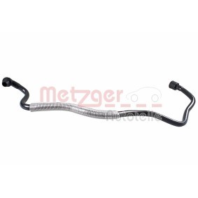 Unterdruckleitung, Bremskraftverstärker 2180056