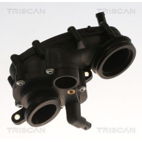 Kühlwasserthermostat von TRISCAN