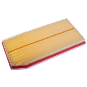 Luftfilter A142211