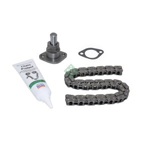 Steuerkettensatz 559 1696 10