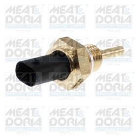 Kraftstofftemperatursensor 82803