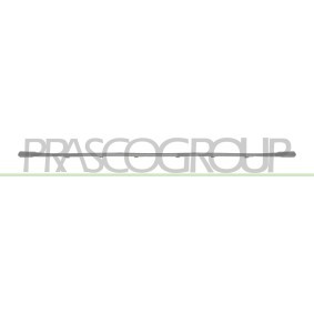 Acquista Modanatura paraurti da PRASCO online per Q3 (F3B) a prezzi moderati