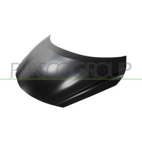 Motorhaube DS0163100