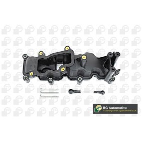 Acquista Collettore d'aspirazione, Alimentazione aria da BGA MG01011 a buon mercato per soli 313,88 €
