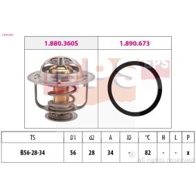 HONDA Kühlwasserthermostat von EPS