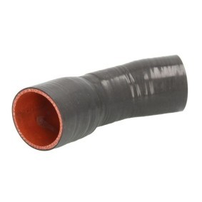 Compre Tubo do intercooler de THERMOTEC online para Megane IV Sedan a preços moderados
