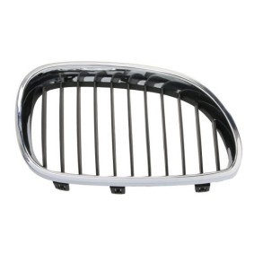 Kühlergrill 6502-07-0066994P