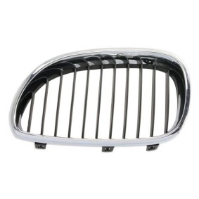 Kühlergrill 6502-07-0066999P