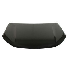 Motorhaube 6803-00-1303282P