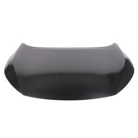 Motorhaube 6803-00-1620281P
