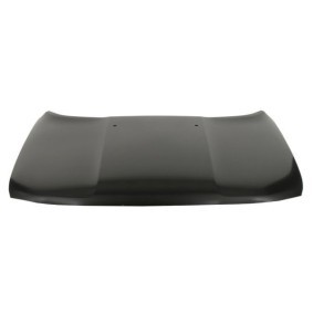 Motorhaube 6803-00-3216280AP