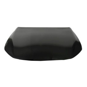Motorhaube 6803-00-3223281P