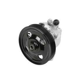Servopumpe 140-01-119