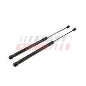 Achetez des Vérin de coffre FAST FT00190K à prix pour 18,81 €