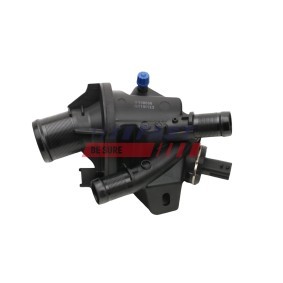Kühlwasserthermostat FT58056