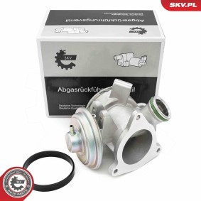 AGR-Ventil 14SKV242
