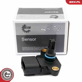Ladedrucksensor 17SKV829