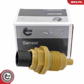 Sensor, Geschwindigkeit / Drehzahl 17SKV848
