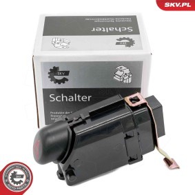 Comprar Interruptor intermitente de aviso de ESEN SKV 36SKV731 a bajo precio de 40,11 €
