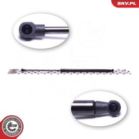 Heckklappendämpfer 52SKV766