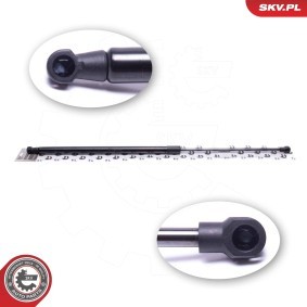 Heckklappendämpfer 52SKV767