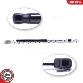 Heckklappendämpfer 52SKV775