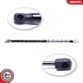 Heckklappendämpfer 52SKV805