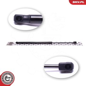 Compre Mala de ESEN SKV online para 308 SW I Van / Carrinha (4E_) a preços moderados