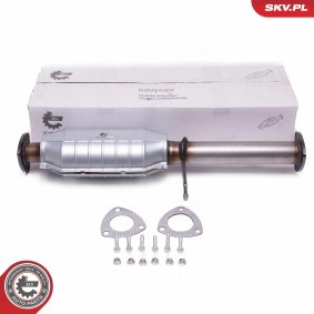 Katalysator 62SKV063