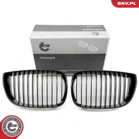 Kühlergrill 66SKV001