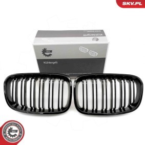 Kühlergrill 66SKV016
