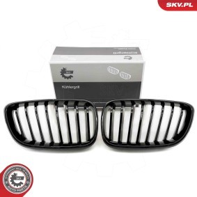 Kühlergrill 66SKV029