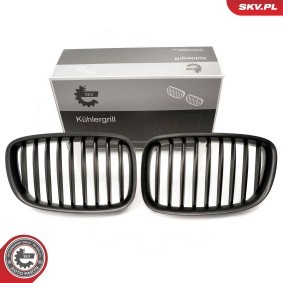 Kühlergrill 66SKV177