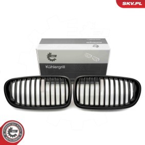 Kühlergrill 66SKV181