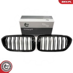 Kühlergrill 66SKV193