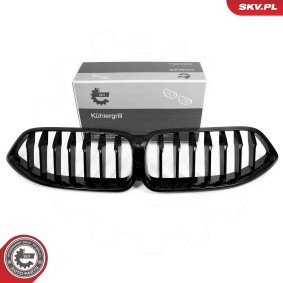 Kühlergrill 66SKV227