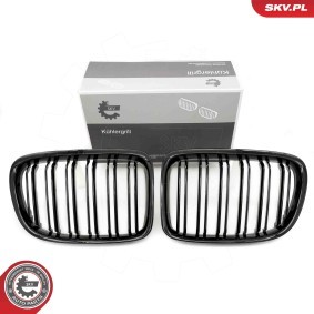Kühlergrill 66SKV233