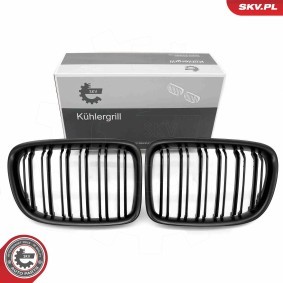 Kühlergrill 66SKV234