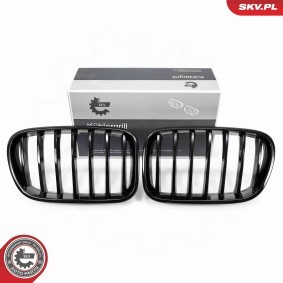 Kühlergrill 66SKV248