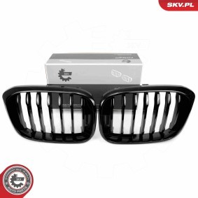 Kühlergrill 66SKV260