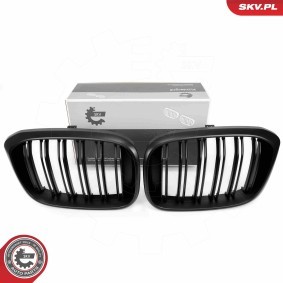 Kühlergrill 66SKV262
