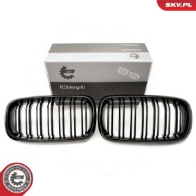 Kühlergrill 66SKV296