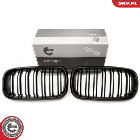 Kühlergrill 66SKV297