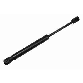 Compre Amortecedor de capô de VAICO online para TT Coupe (8N3) a preços moderados