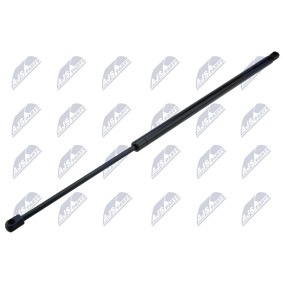 Heckklappendämpfer AE-FR-056