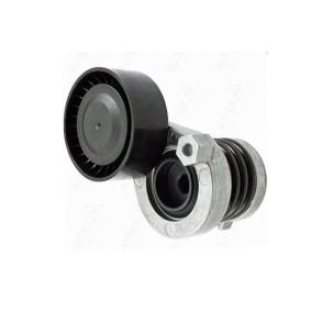 Comprar Tensor de correa poli V de GOOM BT-0024 a bajo precio de 60,47 €